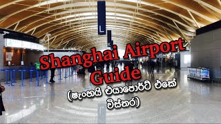 Shanghai Airport Guide [upl. by Aaberg]