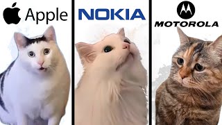 Famous Phone Ringtones but Meme Cats Sing It 2 [upl. by Krakow893]