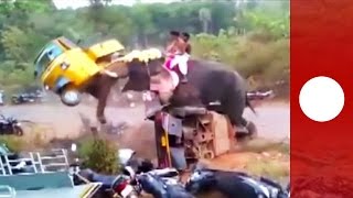 Elephant goes on rampage flipping 27 vehicles India [upl. by Hsatan549]