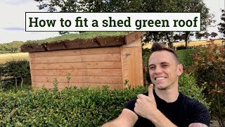 How to fit a green roof to a garden shed [upl. by Seigler]