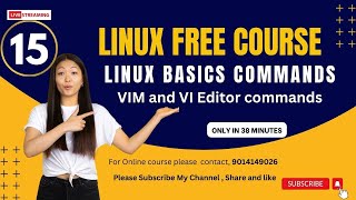 Vim Editor Commands in Linux  Unix VI Editor command  VIM Command in LinuxUnix  Vim Command [upl. by Bunce]