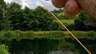 First fish of the day at Blakewell Trout Fishery [upl. by Oj]