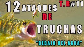 los 12 mejores ataques de truchas a una cucharilla bajo el agua 2018 HD [upl. by Sedgewinn]