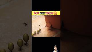 Amazing Hindi facts part40 Hindi facts viralvideo facts motivation trinding [upl. by Dowski]