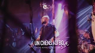 CACHE ROYALE Live  UN CHENS KU BO Ft Velli [upl. by Akiemaj295]