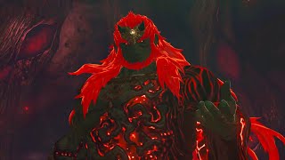 Demon King Ganondorf VS Link No Commentary 1080P 60FPS The Legend of Zelda Tears of the Kingdom [upl. by Naashar754]