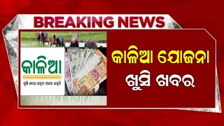 Kalia Yojana Big Update 13 December  Kalia Yojana eKYC  Odisha TV [upl. by Eugirne]