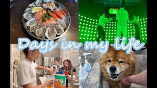 Life in Canada Days in my life Making Matcha Latte Hanging out with friends VLOG 🌷 Ann R [upl. by Fasta]