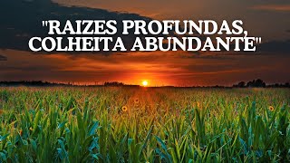 quotRAIZES PROFUNDAS COLHEITA ABUNDANTEquot [upl. by Clover609]