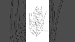 Inktober day 27 Watsonia inktober inktober2024 sketchbook digitalart flowers ink sketch [upl. by Coleen853]