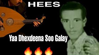 HEES  Yaa Dhexdeena Soo Galay  Cabdiraxmaan Xasan Raas  Kaban  Lyrics [upl. by Thibault]