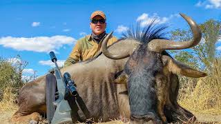 The Wildebeest Bokamoso Safaris with PH Werner Lombard in Botswana in July 2023 [upl. by Dahc79]