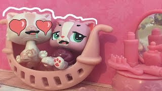 LPS My Fabulous Pink Life Part 13 Addiction [upl. by Aieka]