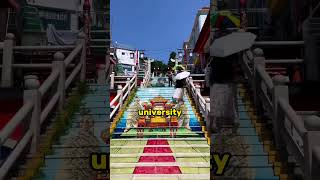 Most Educated Country In The World 🤔🌍 shorts viral facts [upl. by Lady]