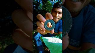 Amazing Experiment camping trap survival outdoors survivalbogura experiment lifehack [upl. by Crain]