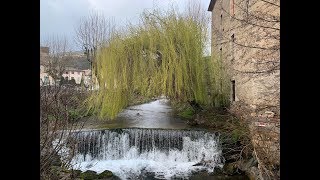 SaintPonsdeThomières  braconnage massif de truites à la source du Jaur [upl. by Asaph291]