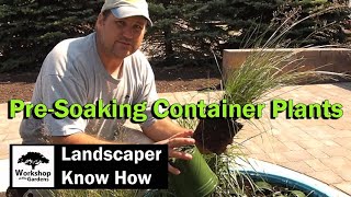 PRESOAKING CONTAINER PLANTS  Landscaper Know How Planting Tip [upl. by Nimesay]