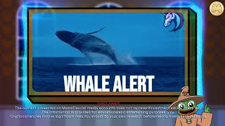 How To Avoid the Whale Trap Spot Big Moves in Crypto  MemeFi [upl. by Marjory349]