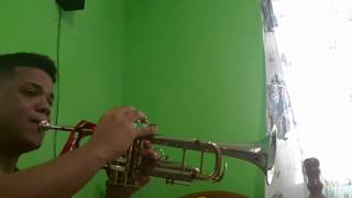 Lone Ranger theme song on trumpet [upl. by Herring]