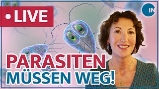 Parasiten – Schmarotzer im Darm  medical INSIGHTS [upl. by Skell]