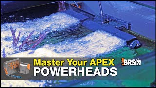 Make Your Powerheads Smarter Connect Them to Your Apex  Neptune Apex Guide [upl. by Salazar768]