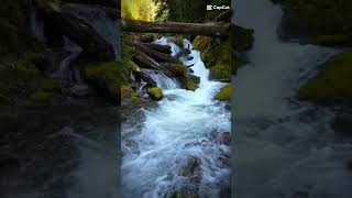 Relaxing Water flowing wealth flowing in your life water wealth [upl. by Meesan]