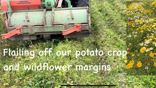 Flailing off our potatoes and talking wildflower margins [upl. by Niuqauj41]