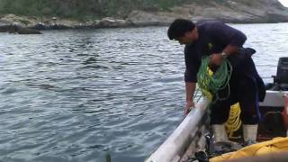 Pescadores de la Caleta de Zapallar [upl. by Elsbeth]