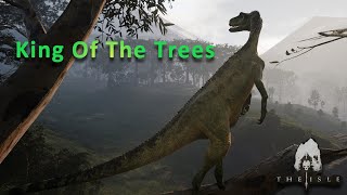 A Solo Herrerasaurus Experience  The Isle Evrima Gameplay [upl. by Ahselet]