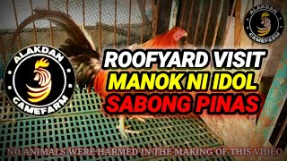 MANOK NI IDOL SABONG PINAS [upl. by Holmen779]