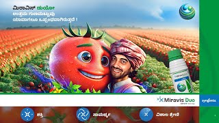 Syngenta  Miravis Duo  Tomato  MOA  Kannada [upl. by Torrin]