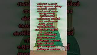 madeenayil channel njan engane piriyum lyrics malayalam shortsvideo madeena [upl. by Caren]