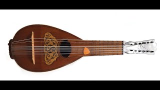 12 string mandolin lute explained [upl. by Trebma]