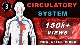 Life Processes Class 10  Topic 3 CIRCULATORY SYSTEM in HUMANS  NEW STYLE VIDEO  Chapter 5 Science [upl. by Eciuqram579]