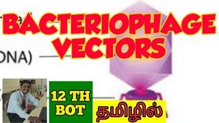 BACTERIOPHAGE VECTORS  TAMIL  BIOTECHNOLOGY  STD 12 [upl. by Ecnar406]