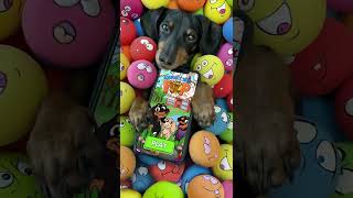 Crusoes Squeaky Ball POP  A Fun Challenging Puzzle Game [upl. by Notnats155]