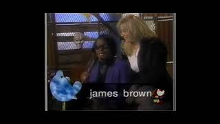 James Brown  Interview Snippet  Woodstock 99 [upl. by Pasadis]