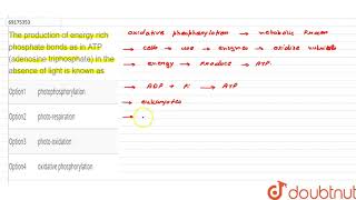 The production of energy rich phosphate bonds as in ATP adenosine triphosphate [upl. by Pruchno132]