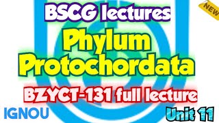 Phylum Protochordates Unit 11 Zoology Animal Kingdom BZYCT131  ignou neet 2023 trending [upl. by Alleon833]