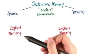 Explicit or declarative memory  Intro to Psychology [upl. by Ellicott273]