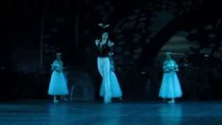 Nikolai Tsiskaridze  Giselle [upl. by Ttenna638]