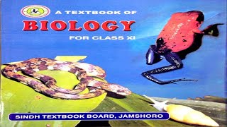 1010 PHYLUM CHORDATA  CHAPTER 10 KINGDOM ANIMALIA  FIRST YEAR BIOLOGY [upl. by Neoma]