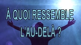 Vidéo  A quoi ressemble laudelà Expériences de Mort Imminente [upl. by Theodora402]