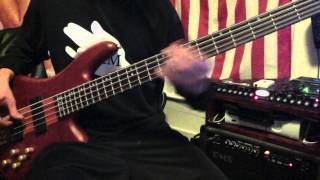 Badfish Bass Cover HD [upl. by Bowrah325]