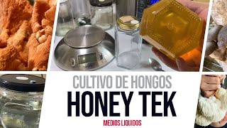 Cultivo de Hongos Honey Tek  Cómo hacer Micelio Líquido [upl. by Ambrosia290]