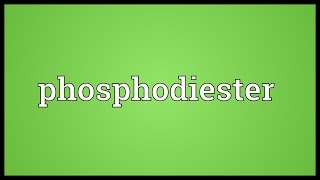 Phosphodiester Meaning [upl. by Lashoh670]