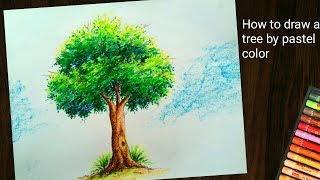 How to draw tree by pastel color tree painting [upl. by Arocet616]