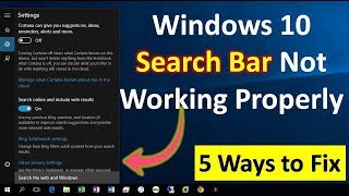 How to Fix Search Bar Not Working in Windows 1110 [upl. by Odnamla]