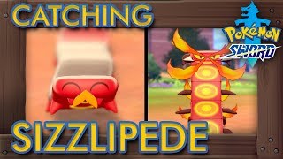 Pokémon Sword amp Shield  How to Get Sizzlipede amp Centiskorch [upl. by Figone]