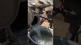 Beef Yakhni Pulao Preparation for 3000 Guests in the Deep Desert  Desert Wedding Food [upl. by Yhtomit875]